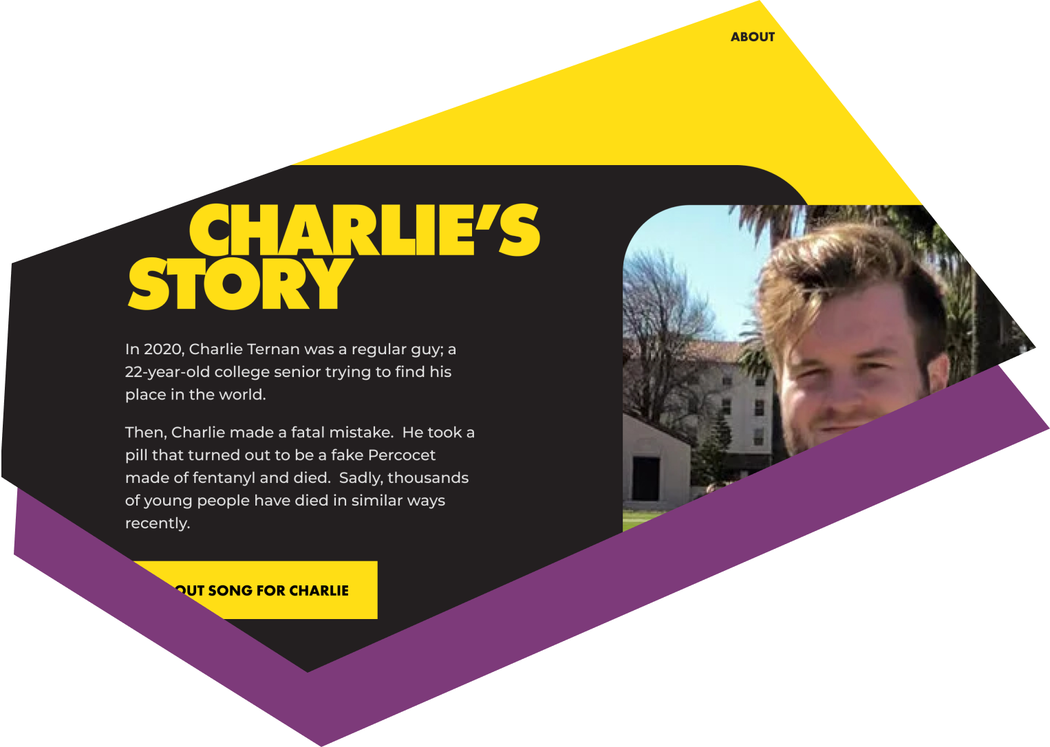 Charlie, a 22-year-old who died after taking a counterfeit pill containing fentanyl